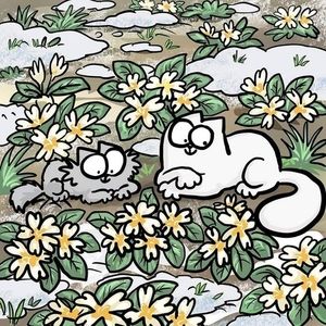 Meet your Posher, Sandy